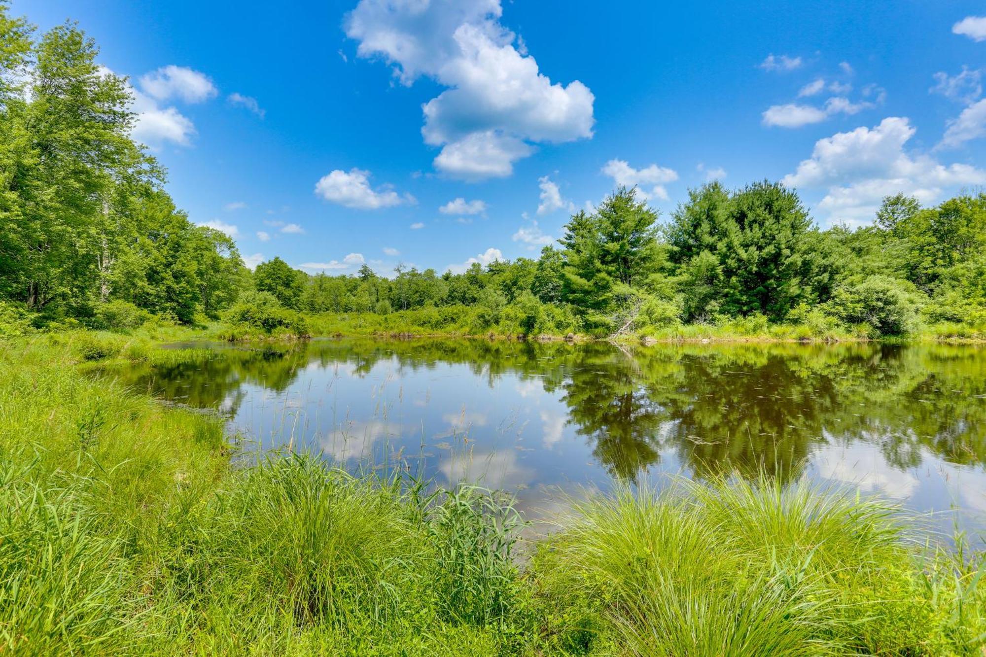Secluded Poconos Cabin With Fire Pit On 75 Acres! East Stroudsburg Exteriér fotografie